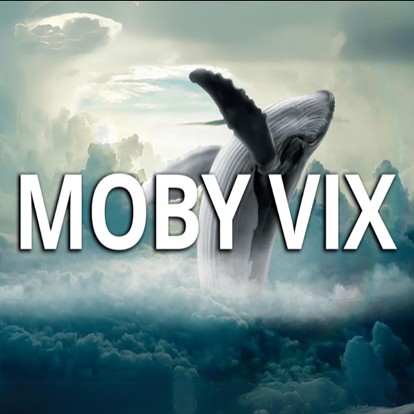 Moby VIX – BuzWay - Francesco Buzzi